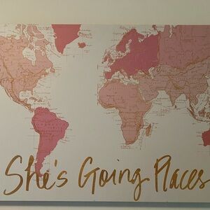 Pink and Gold World Map Wall Art